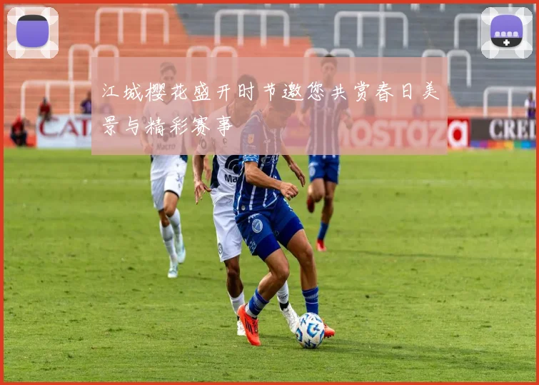 江城樱花盛开时节邀您共赏春日美景与精彩赛事